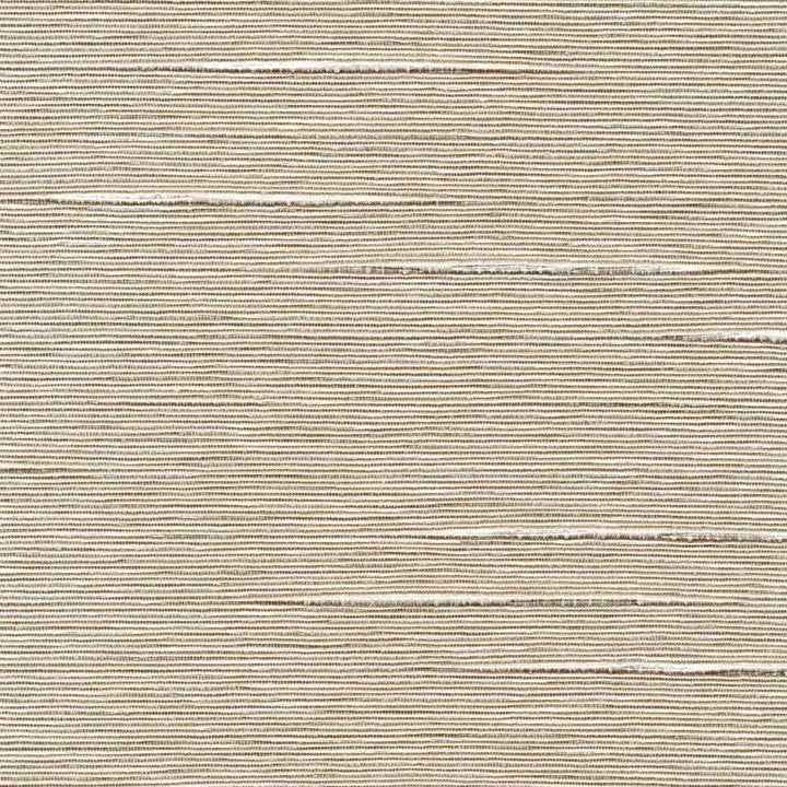 Boxwood Beige by Kasmir Fabric 5002 55% Cotton 45% Polyester TAIWAN 30,000 Wyzenbeek Double Rubs H: N/A, V:N/A 54 - 55 - Fabric Carolina - Kasmir