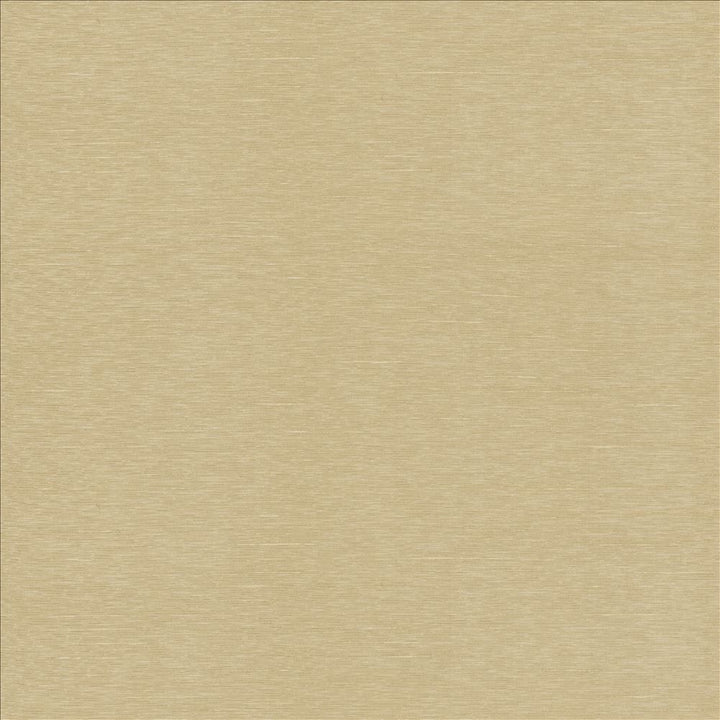 Boxwood Beige by Kasmir Fabric 5149 55% Cotton
45% Polyester
 TAIWAN </p><p>Repeat: Horizontal: N/A and Vertical: N/A 54 - 55 - Fabric Carolina -