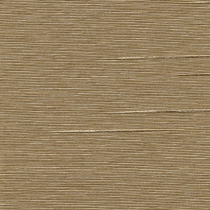 Boxwood Burlap by Kasmir Fabric 5002 55% Cotton 45% Polyester TAIWAN 30,000 Wyzenbeek Double Rubs H: N/A, V:N/A 54 - 55 - Fabric Carolina - Kasmir