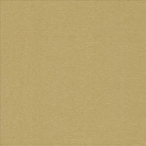 Symphony /D Chamois  by Kasmir Fabric