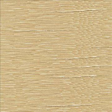 Boxwood Chamois by Kasmir Fabric 1319 55% Cotton 45% Polyester TAIWAN 30,000 Wyzenbeek Double Rubs H: N/A, V: N/A 54 - 55 - Fabric Carolina - Kasmir