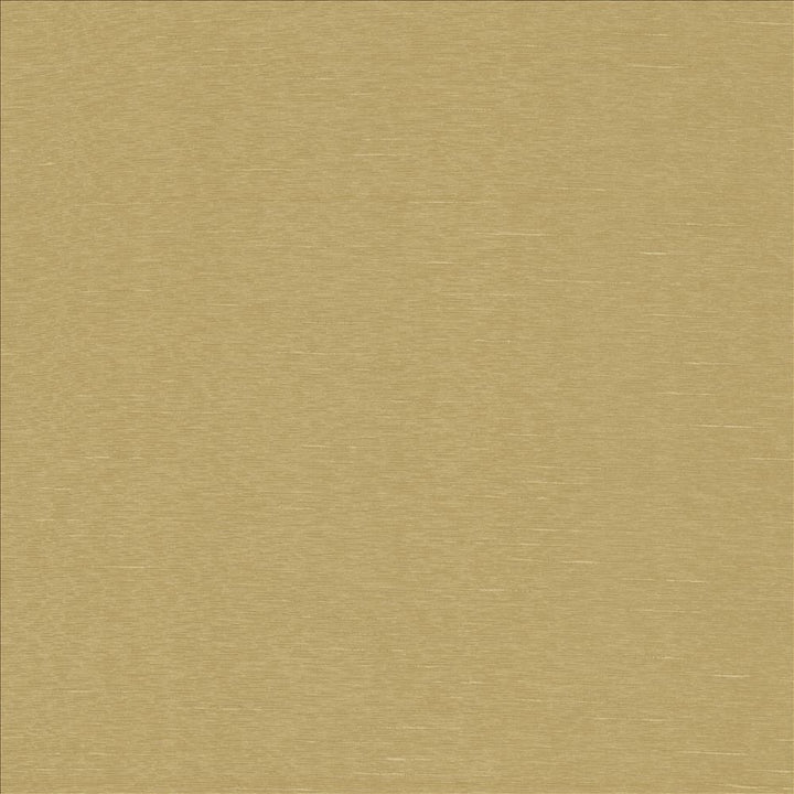 Boxwood Chamois by Kasmir Fabric 1319 55% Cotton
45% Polyester
 TAIWAN </p><p>Repeat: Horizontal: N/A and Vertical: N/A 54 - 55 - Fabric Carolina -