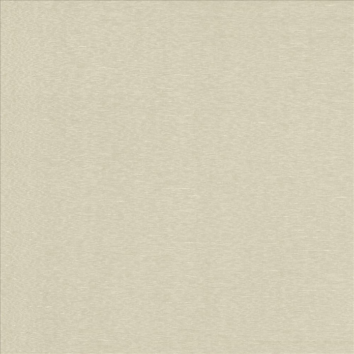 Boxwood Crystal by Kasmir Fabric 5002 55% Cotton
45% Polyester
 TAIWAN </p><p>Repeat: Horizontal: N/A and Vertical: N/A 54 - 55 - Fabric Carolina -