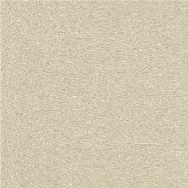 Boxwood Crystal by Kasmir Fabric 5149 55% Cotton
45% Polyester
 TAIWAN 30,000 Wyzenbeek Double Rubs Horizontal: N/A and Vertical: N/A 54 - Fabric Carolina -