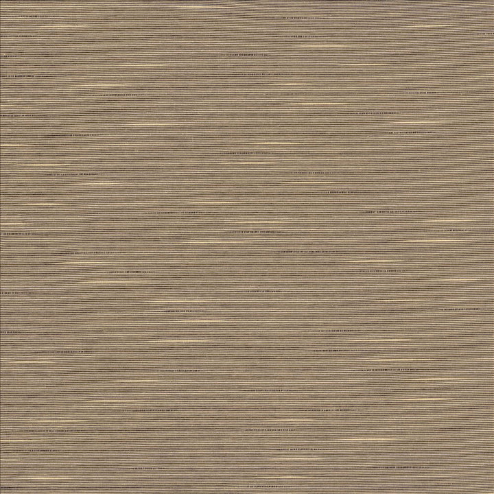 Boxwood Dove by Kasmir Fabric 5149 55% Cotton
45% Polyester
 TAIWAN </p><p>Repeat: Horizontal: N/A and Vertical: N/A 54 - 55 - Fabric Carolina -