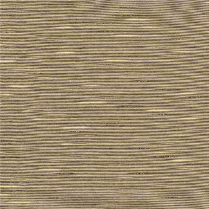 Boxwood Dove by Kasmir Fabric 5149 55% Cotton 45% Polyester TAIWAN 30,000 Wyzenbeek Double Rubs Horizontal: 0 Inches and Vertical: 0 Inches 54 - 55 - Fabric Carolina -