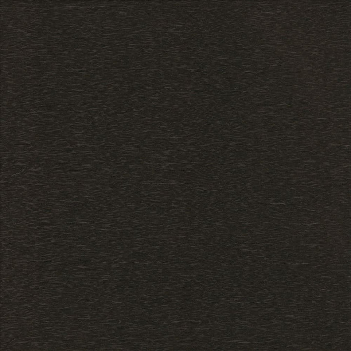Boxwood Ebony by Kasmir Fabric 1319 55% Cotton
45% Polyester
 TAIWAN 30,000 Wyzenbeek Double Rubs Horizontal: N/A and Vertical: N/A 54 - Fabric Carolina -