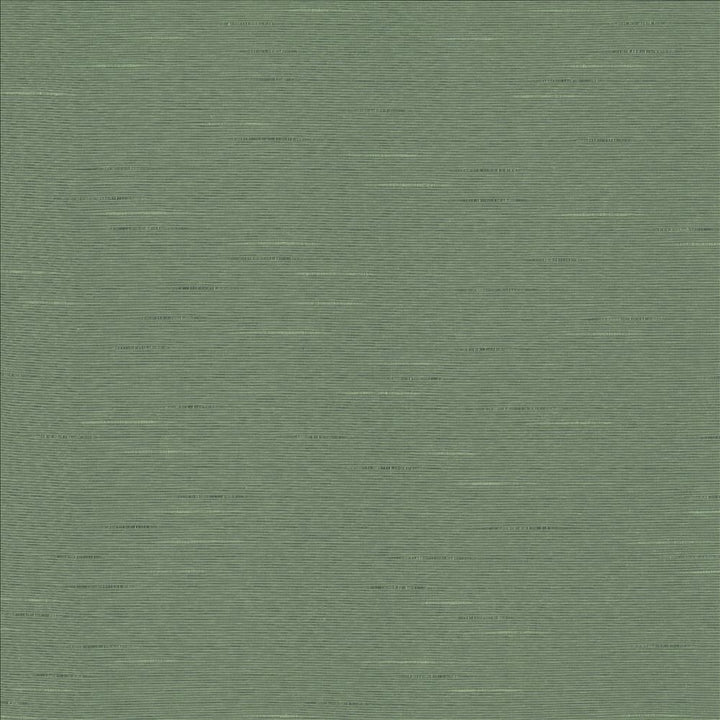 Symphony /D Eucalyptus  by Kasmir Fabric 5149 55% Cotton 45% Polyester  TAIWAN  </p><p>Repeat: Horizontal: N/A and Vertical: N/A 54  - 55   - Fabric Carolina -