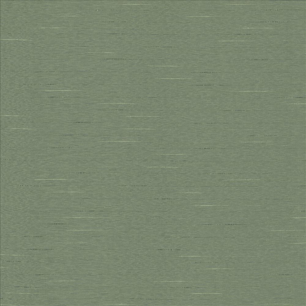 Boxwood Eucalyptus by Kasmir Fabric 5149 55% Cotton
45% Polyester
 TAIWAN </p><p>Repeat: Horizontal: N/A and Vertical: N/A 54 - 55 - Fabric Carolina -