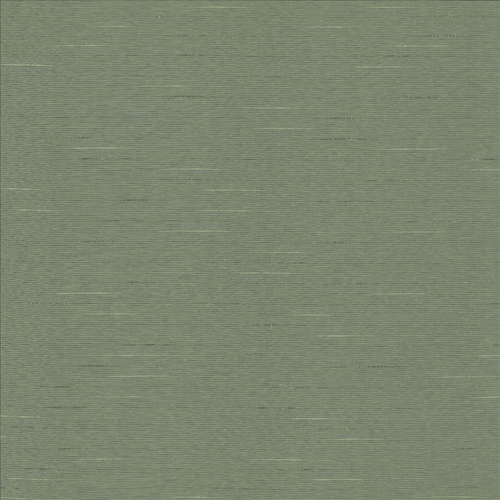 Boxwood Eucalyptus by Kasmir Fabric 5149 55% Cotton
45% Polyester
 TAIWAN </p><p>Repeat: Horizontal: N/A and Vertical: N/A 54 - 55 - Fabric Carolina -