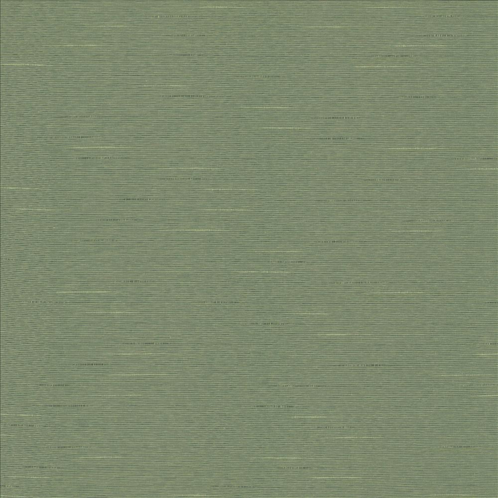 Boxwood Eucalyptus by Kasmir Fabric 5149 55% Cotton
45% Polyester
 TAIWAN 30,000 Wyzenbeek Double Rubs Horizontal: N/A and Vertical: N/A 54 - Fabric Carolina -