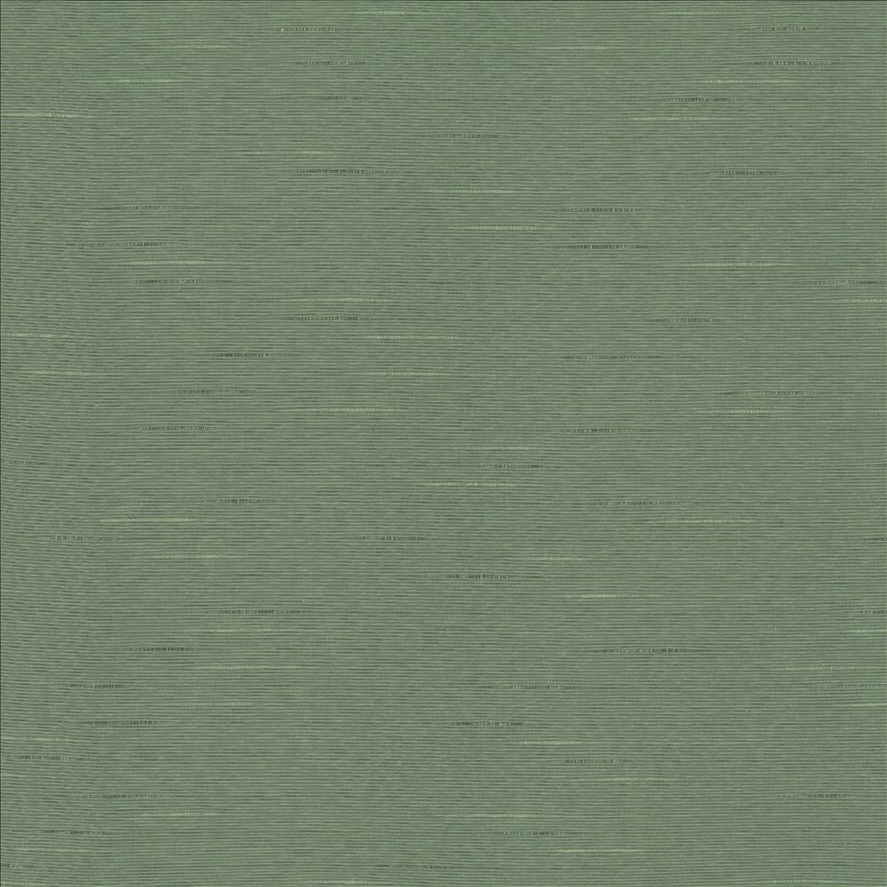 Boxwood Eucalyptus by Kasmir Fabric 5149 55% Cotton
45% Polyester
 TAIWAN 30,000 Wyzenbeek Double Rubs </p><p>Repeat: Horizontal: N/A and Vertical: N/A 54 - Fabric Carolina -
