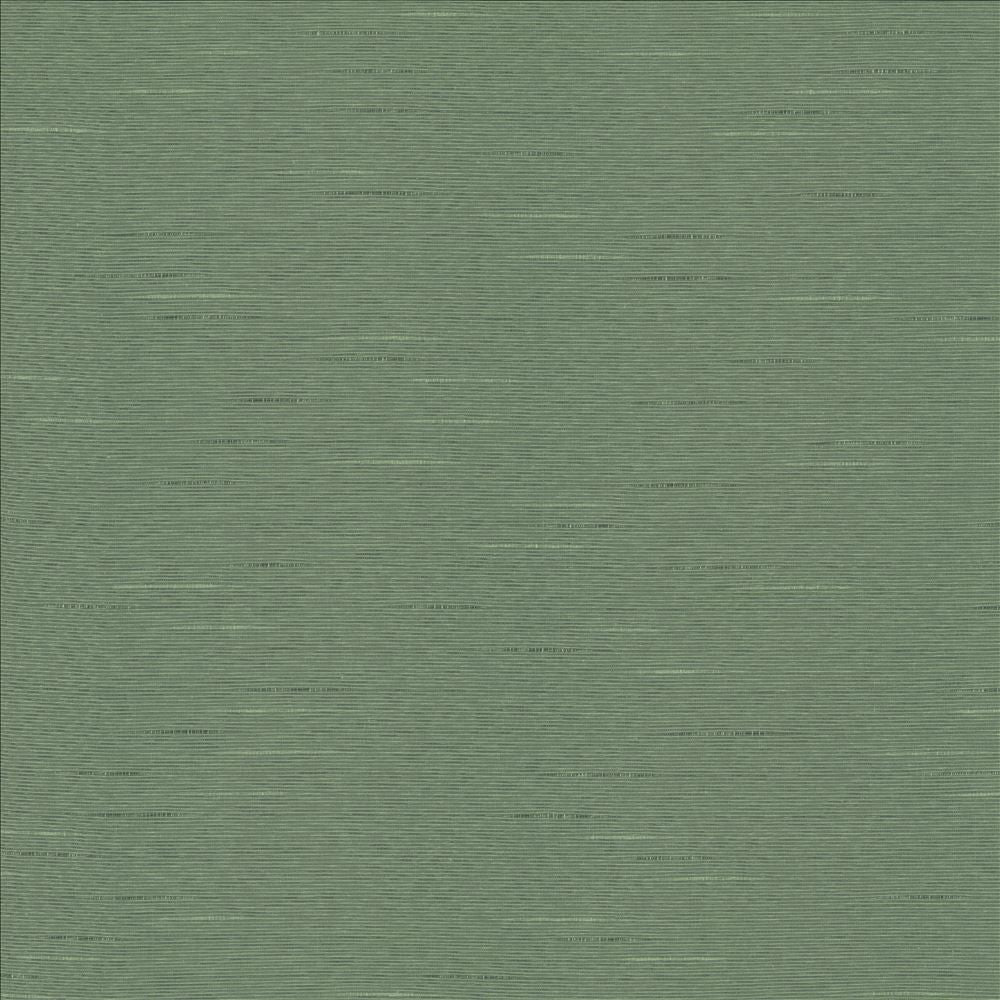 Boxwood Eucalyptus by Kasmir Fabric 5149 55% Cotton
45% Polyester
 TAIWAN </p><p>Repeat: Horizontal: N/A and Vertical: N/A 54 - 55 - Fabric Carolina -
