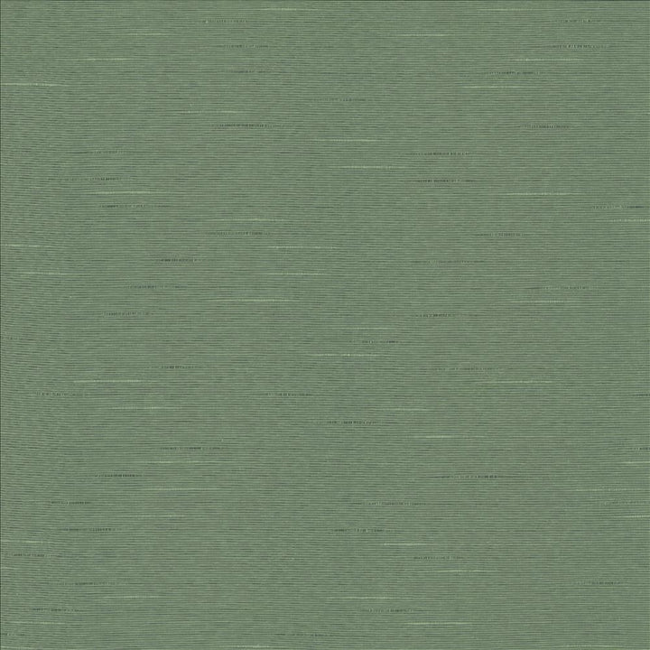 Boxwood Eucalyptus by Kasmir Fabric 5149 55% Cotton
45% Polyester
 TAIWAN </p><p>Repeat: Horizontal: N/A and Vertical: N/A 54 - 55 - Fabric Carolina -