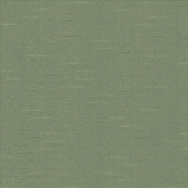 Boxwood Eucalyptus by Kasmir Fabric 5149 55% Cotton 45% Polyester TAIWAN 30,000 Wyzenbeek Double Rubs Horizontal: 0 Inches and Vertical: 0 Inches 54 - 55 - Fabric Carolina -
