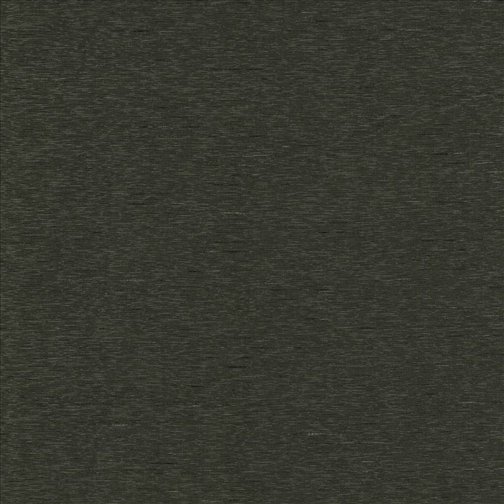 Boxwood Gravel by Kasmir Fabric 5149 55% Cotton
45% Polyester
 TAIWAN 30,000 Wyzenbeek Double Rubs </p><p>Repeat: Horizontal: N/A and Vertical: N/A 54 - Fabric Carolina -