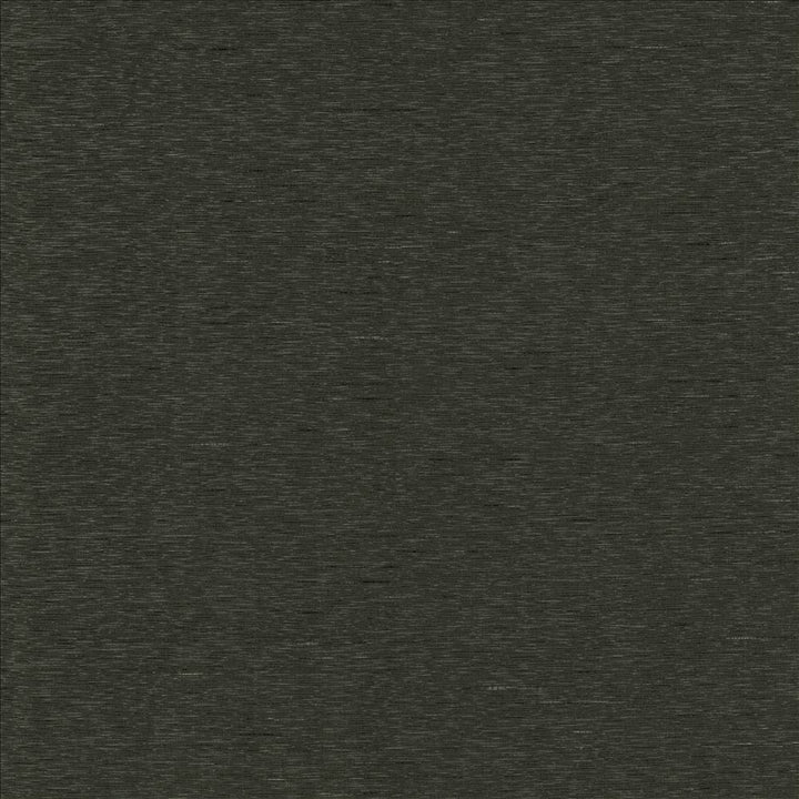 Boxwood Gravel by Kasmir Fabric 5149 55% Cotton
45% Polyester
 TAIWAN </p><p>Repeat: Horizontal: N/A and Vertical: N/A 54 - 55 - Fabric Carolina -