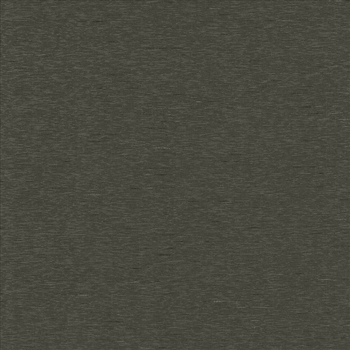Boxwood Gravel by Kasmir Fabric 5149 55% Cotton
45% Polyester
 TAIWAN </p><p>Repeat: Horizontal: N/A and Vertical: N/A 54 - 55 - Fabric Carolina -