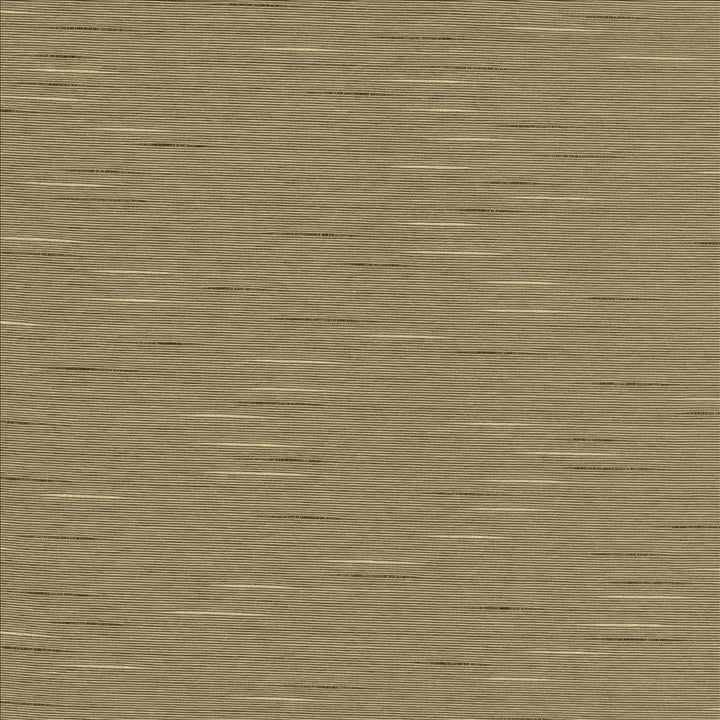 Boxwood Husk by Kasmir Fabric 5002 55% Cotton
45% Polyester
 TAIWAN </p><p>Repeat: Horizontal: N/A and Vertical: N/A 54 - 55 - Fabric Carolina -