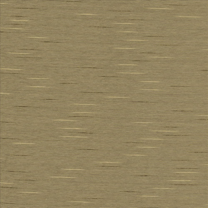 Boxwood Husk  by Kasmir Fabric See sample 55% Cotton
45% Polyester
 TAIWAN 30,000 Wyzenbeek Double Rubs </p><p>Repeat: Horizontal: N/A and Vertical: N/A 54  - Fabric Carolina -