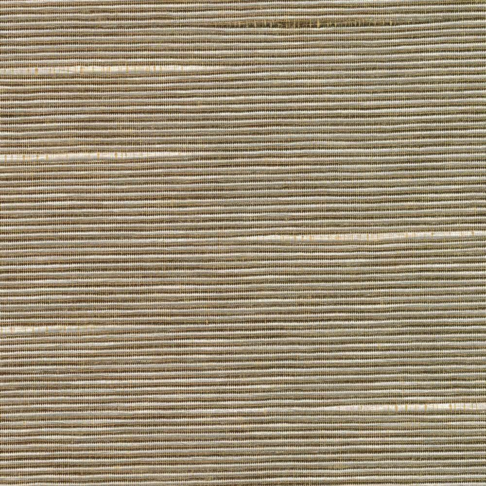 Boxwood Husk by Kasmir Fabric 5002 55% Cotton 45% Polyester TAIWAN 30,000 Wyzenbeek Double Rubs H: N/A, V:N/A 54 - 55 - Fabric Carolina - Kasmir