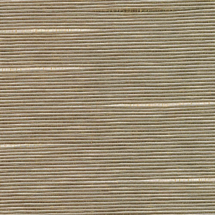 Boxwood Husk by Kasmir Fabric 5002 55% Cotton 45% Polyester TAIWAN 30,000 Wyzenbeek Double Rubs H: N/A, V:N/A 54 - 55 - Fabric Carolina - Kasmir