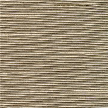 Boxwood Husk by Kasmir Fabric 5002 55% Cotton 45% Polyester TAIWAN 30,000 Wyzenbeek Double Rubs H: N/A, V: N/A 54 - 55 - Fabric Carolina - Kasmir