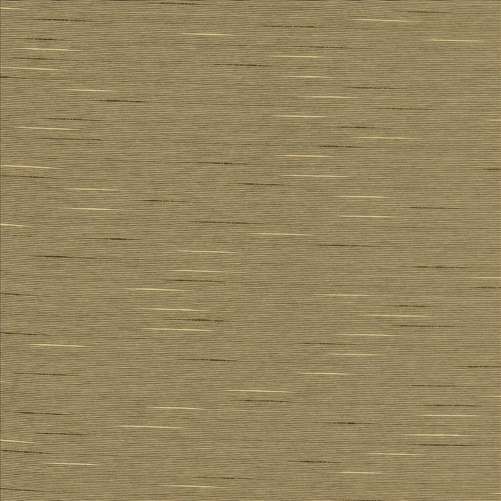 Boxwood Husk by Kasmir Fabric 5002 55% Cotton
45% Polyester
 TAIWAN </p><p>Repeat: Horizontal: N/A and Vertical: N/A 54 - 55 - Fabric Carolina -
