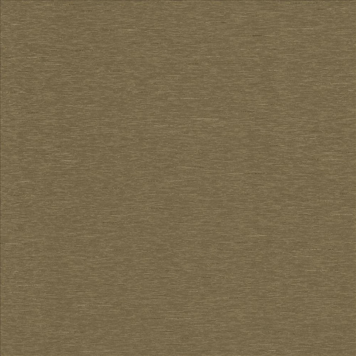 Boxwood Marsh by Kasmir Fabric 5149 55% Cotton
45% Polyester
 TAIWAN </p><p>Repeat: Horizontal: N/A and Vertical: N/A 54 - 55 - Fabric Carolina -