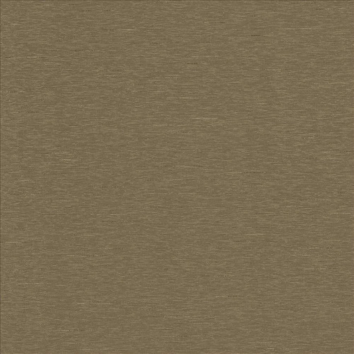 Boxwood Marsh by Kasmir Fabric 5149 55% Cotton
45% Polyester
 TAIWAN 30,000 Wyzenbeek Double Rubs Horizontal: N/A and Vertical: N/A 54 - Fabric Carolina -