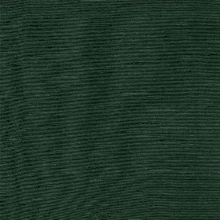 Boxwood Myrtle by Kasmir Fabric 5149 55% Cotton
45% Polyester
 TAIWAN 30,000 Wyzenbeek Double Rubs </p><p>Repeat: Horizontal: N/A and Vertical: N/A 54 - Fabric Carolina -