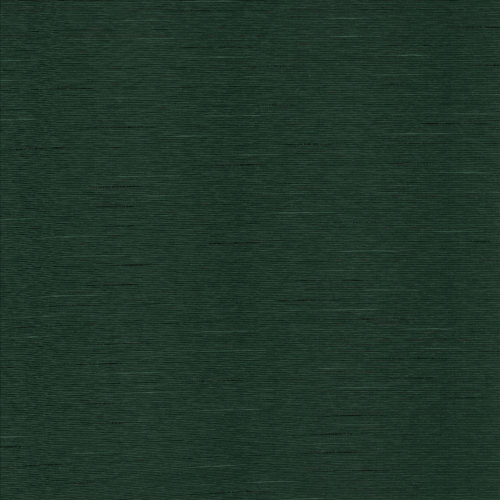 Boxwood Myrtle by Kasmir Fabric 5149 55% Cotton
45% Polyester
 TAIWAN </p><p>Repeat: Horizontal: N/A and Vertical: N/A 54 - 55 - Fabric Carolina -