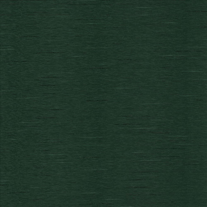 Boxwood Myrtle by Kasmir Fabric 5149 55% Cotton
45% Polyester
 TAIWAN </p><p>Repeat: Horizontal: N/A and Vertical: N/A 54 - 55 - Fabric Carolina -