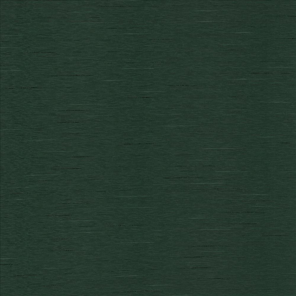 Boxwood Myrtle by Kasmir Fabric 5149 55% Cotton
45% Polyester
 TAIWAN </p><p>Repeat: Horizontal: N/A and Vertical: N/A 54 - 55 - Fabric Carolina -