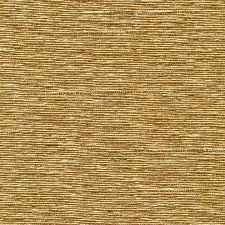 Boxwood Nugget by Kasmir Fabric 5002 55% Cotton 45% Polyester TAIWAN 30,000 Wyzenbeek Double Rubs H: N/A, V:N/A 54 - 55 - Fabric Carolina - Kasmir