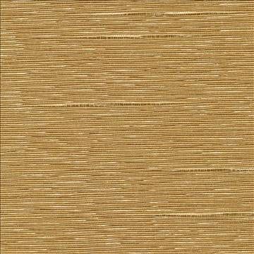 Boxwood Nugget by Kasmir Fabric 5002 55% Cotton 45% Polyester TAIWAN 30,000 Wyzenbeek Double Rubs H: N/A, V: N/A 54 - 55 - Fabric Carolina - Kasmir