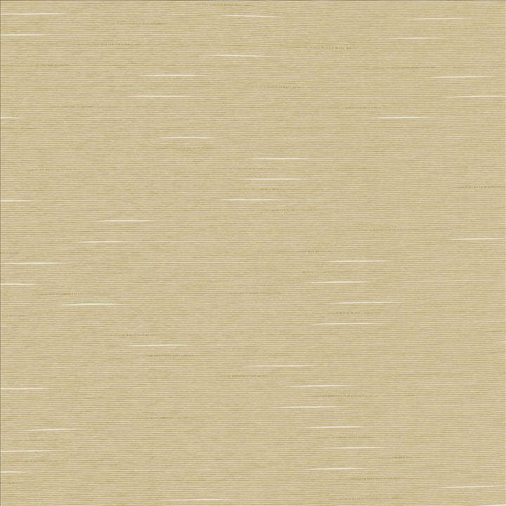 Boxwood Oyster by Kasmir Fabric 5149 55% Cotton
45% Polyester
 TAIWAN </p><p>Repeat: Horizontal: N/A and Vertical: N/A 54 - 55 - Fabric Carolina -
