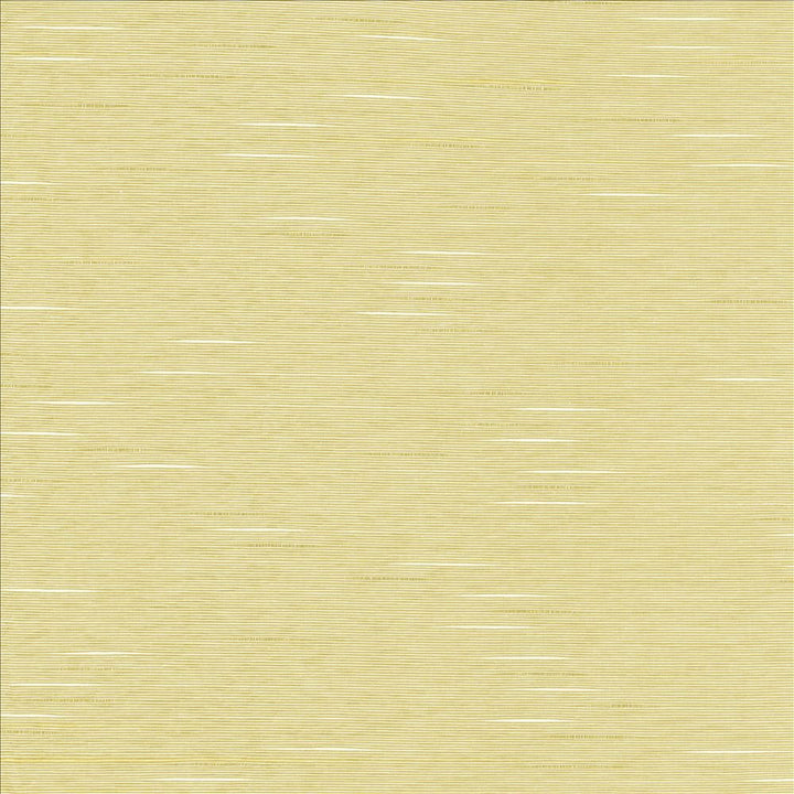Boxwood Oyster by Kasmir Fabric 5002 55% Cotton 45% Polyester TAIWAN 30,000 Wyzenbeek Double Rubs Horizontal: 0 Inches and Vertical: 0 Inches 54 - 55 - Fabric Carolina -
