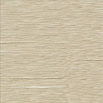 Boxwood Oyster by Kasmir Fabric 5002 55% Cotton 45% Polyester TAIWAN 30,000 Wyzenbeek Double Rubs H: N/A, V: N/A 54 - 55 - Fabric Carolina - Kasmir