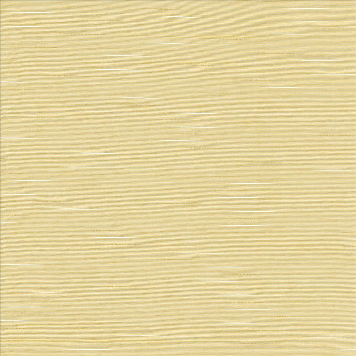 Boxwood Oyster by Kasmir Fabric 5149 55% Cotton
45% Polyester
 TAIWAN </p><p>Repeat: Horizontal: N/A and Vertical: N/A 54 - 55 - Fabric Carolina -