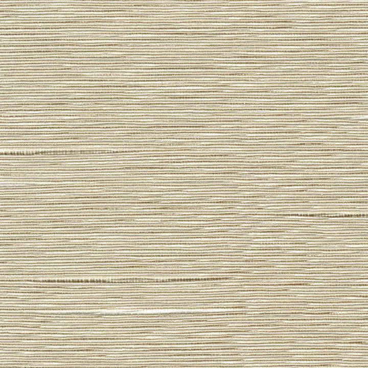 Boxwood Oyster by Kasmir Fabric 1319 55% Cotton 45% Polyester TAIWAN 30,000 Wyzenbeek Double Rubs H: N/A, V:N/A 54 - 55 - Fabric Carolina - Kasmir