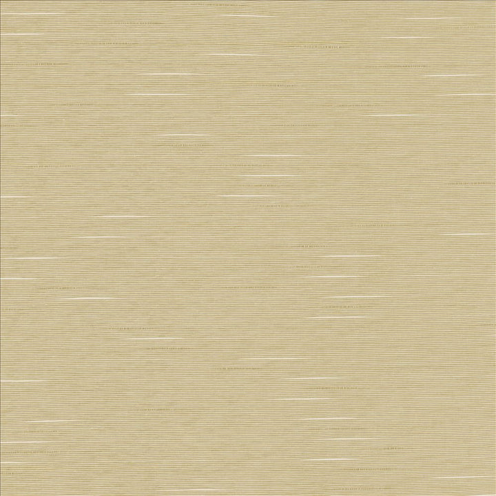 Boxwood Oyster by Kasmir Fabric 5149 55% Cotton
45% Polyester
 TAIWAN 30,000 Wyzenbeek Double Rubs </p><p>Repeat: Horizontal: N/A and Vertical: N/A 54 - Fabric Carolina -