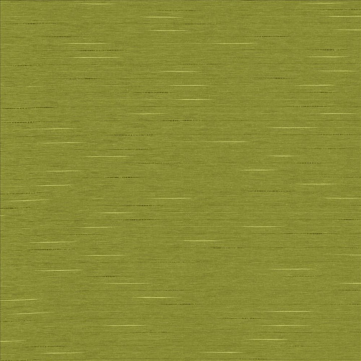 Boxwood Pear by Kasmir Fabric 5149 55% Cotton 45% Polyester TAIWAN 30,000 Wyzenbeek Double Rubs Horizontal: 0 Inches and Vertical: 0 Inches 54 - 55 - Fabric Carolina -