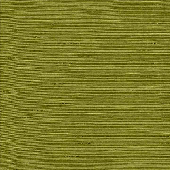 Boxwood Pear by Kasmir Fabric 5149 55% Cotton
45% Polyester
 TAIWAN </p><p>Repeat: Horizontal: N/A and Vertical: N/A 54 - 55 - Fabric Carolina -