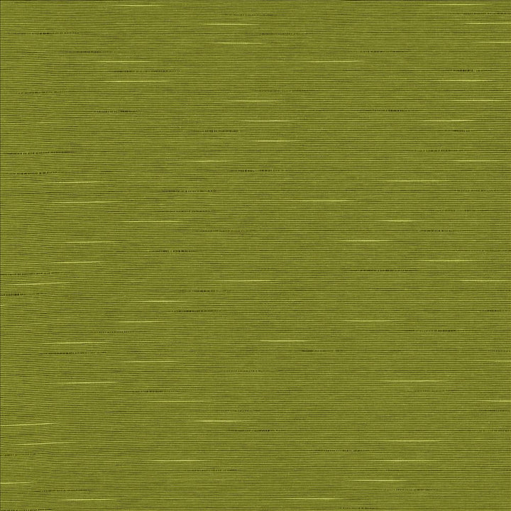 Boxwood Pear by Kasmir Fabric 5149 55% Cotton
45% Polyester
 TAIWAN 30,000 Wyzenbeek Double Rubs </p><p>Repeat: Horizontal: N/A and Vertical: N/A 54 - Fabric Carolina -