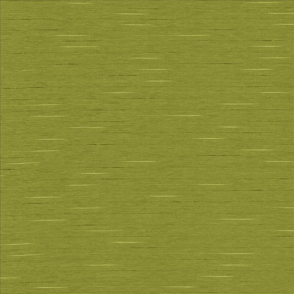 Boxwood Pear  by Kasmir Fabric See sample 55% Cotton
45% Polyester
 TAIWAN 30,000 Wyzenbeek Double Rubs </p><p>Repeat: Horizontal: N/A and Vertical: N/A 54  - Fabric Carolina -