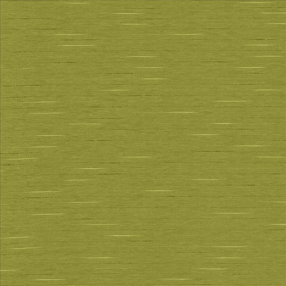 Boxwood Pear by Kasmir Fabric 5149 55% Cotton
45% Polyester
 TAIWAN </p><p>Repeat: Horizontal: N/A and Vertical: N/A 54 - 55 - Fabric Carolina -