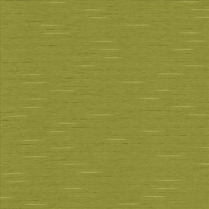 Boxwood Pear by Kasmir Fabric 5149 55% Cotton
45% Polyester
 TAIWAN </p><p>Repeat: Horizontal: N/A and Vertical: N/A 54 - 55 - Fabric Carolina -