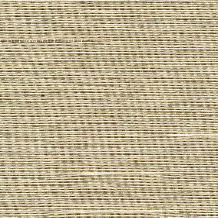 Boxwood Putty by Kasmir Fabric 1319 55% Cotton 45% Polyester TAIWAN 30,000 Wyzenbeek Double Rubs H: N/A, V:N/A 54 - 55 - Fabric Carolina - Kasmir