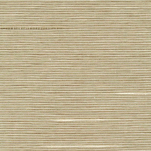 Boxwood Putty by Kasmir Fabric